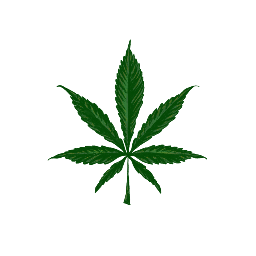 Cannabis Leaf